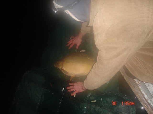 DSC03753