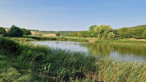 20230711 180907